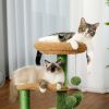 Cactus Cat Tree Cat Tower with Warmy Condo, Plush Perches, Sisal Scratching Post and Fluffy Balls for Small and Medium Cats (Minimum Retail Price for