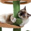 Cactus Cat Tree Cat Tower with Warmy Condo, Plush Perches, Sisal Scratching Post and Fluffy Balls for Small and Medium Cats (Minimum Retail Price for