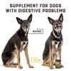 Probiotics for Dogs Support Gut Health Itchy Skin Allergies Yeast Balance Immunity Dog Probiotics and Digestive Enzymes for Small Medium and Large Dog