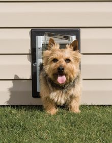 PetSafe Wall Dog Door - Small